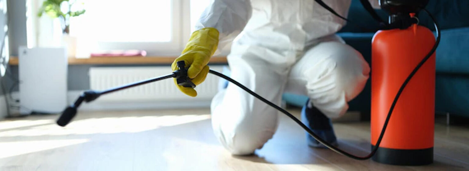 Do It Yourself Pest Control Expert Pest Control Services Philippines