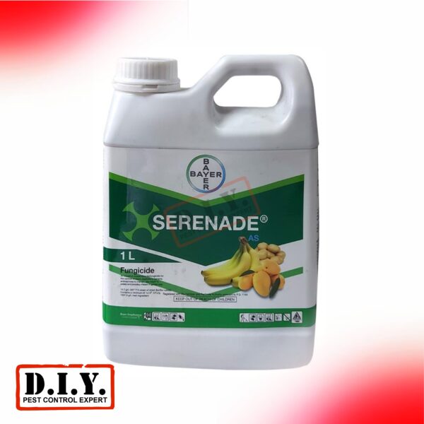 Serenade as Bio Organic Fungicide